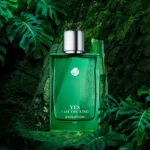 Yes I Am The King Evolution – Geparlys – Image 2